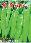 新育668——尖椒种子