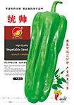 统帅(秋延之王)——泡椒种子