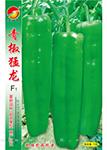 青椒猛龙——泡椒种子