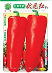 状元红——泡椒种子