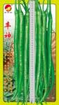 丰神——线椒种子
