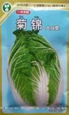 菊锦大白菜 - 叶菜类