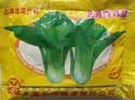三月慢青菜 - 叶菜类