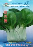 四月慢 - 叶菜类