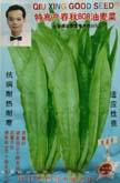 特高产春秋808油麦菜 - 叶菜类