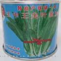 王中王尖叶油麦 - 叶菜类