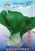 五月慢 - 叶菜类