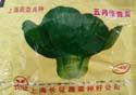 五月慢青菜 - 叶菜类