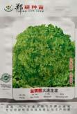 益满园大速生菜 - 叶菜类