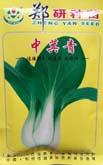 中萁青 - 叶菜类