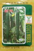 朝优1号 - 黄瓜类
