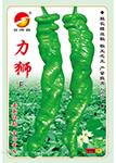 力狮——螺丝椒种子