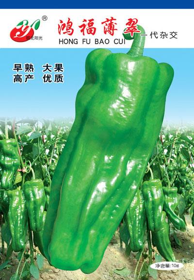鸿福薄翠