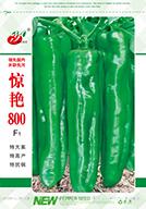   惊艳800