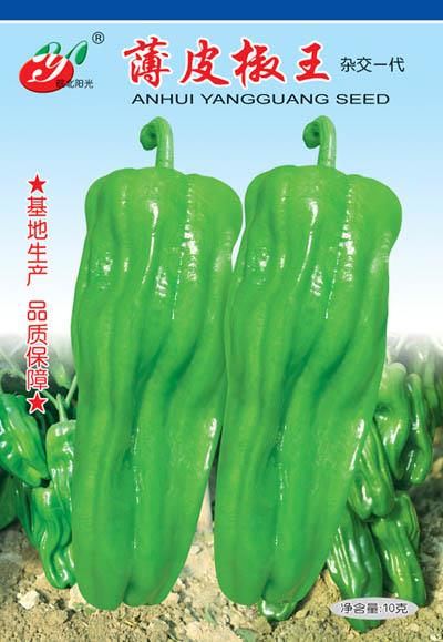   薄皮椒王