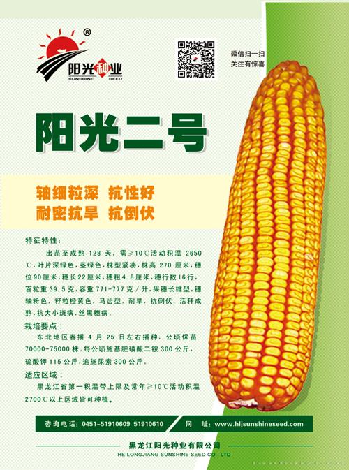  阳光二号