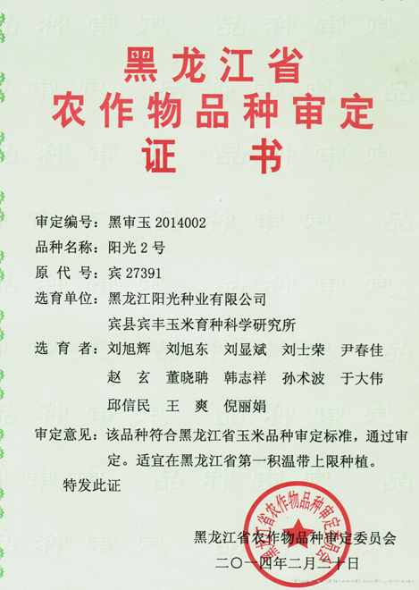 阳光2号
