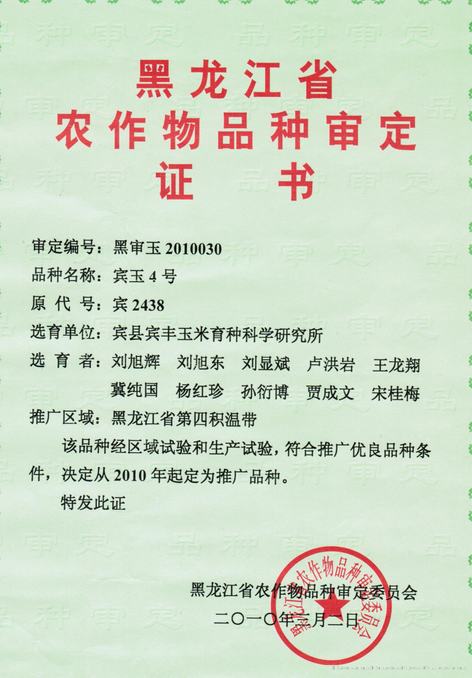  宾玉4号