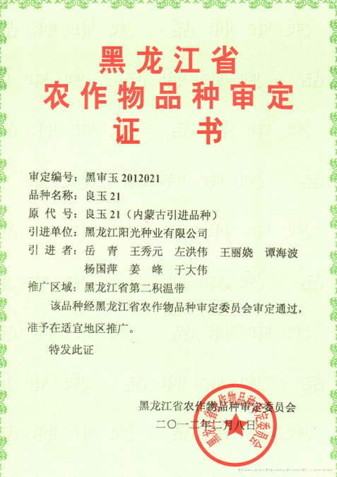 良玉21