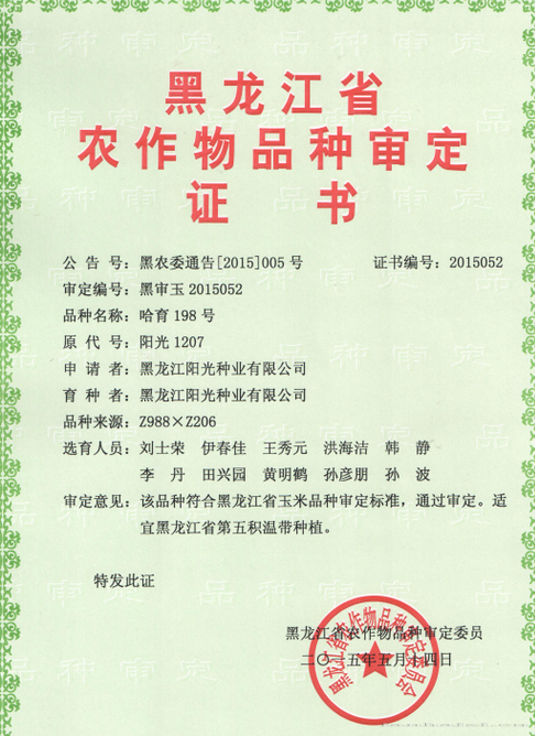  哈育198