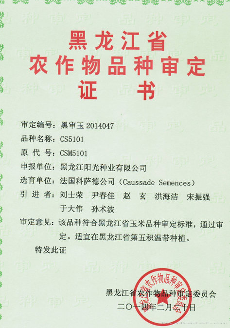  cs5101