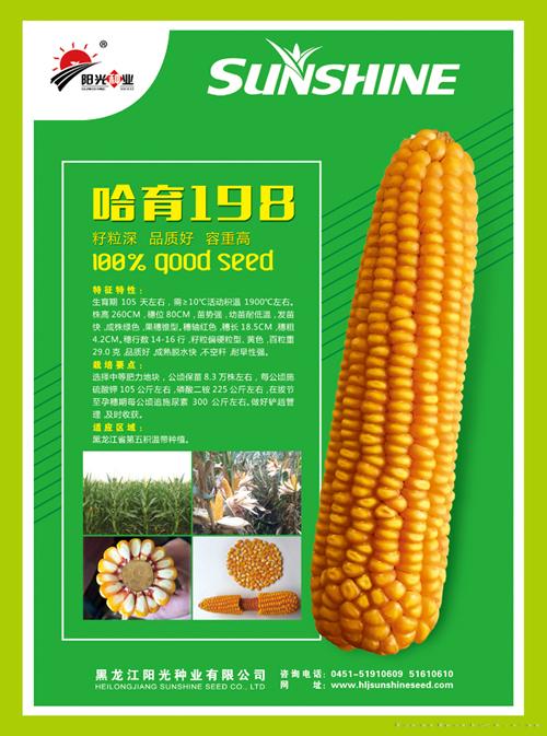 哈育198