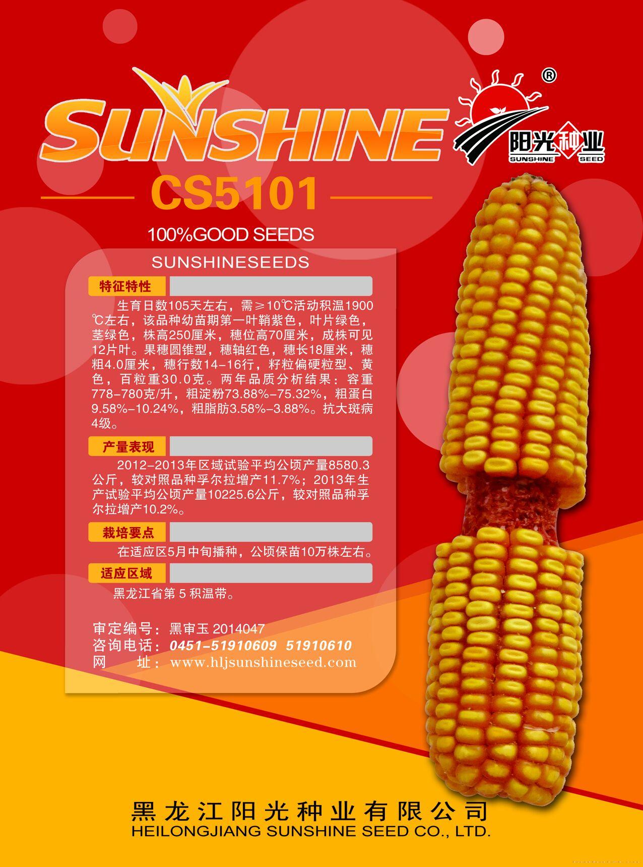 cs5101