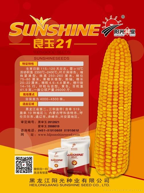 良玉21