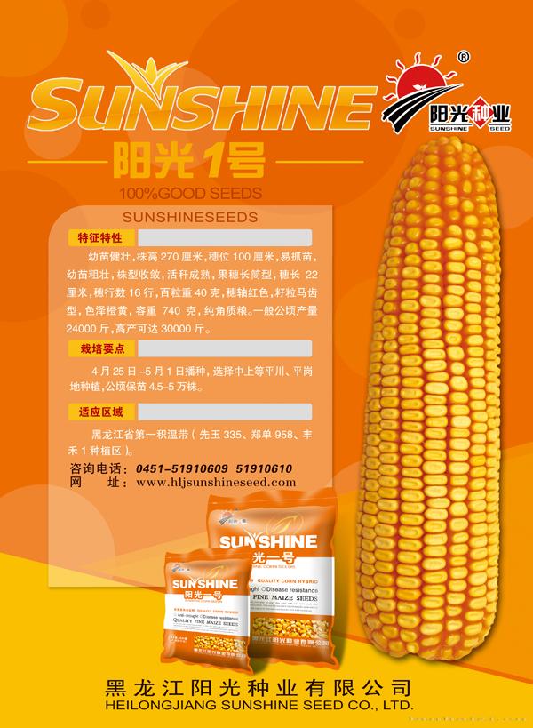 阳光一号