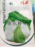 经典
