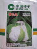 雪公主