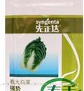 强势春
