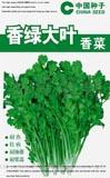 香菜种子