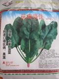 菠菜种子