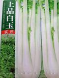上品白玉芹菜