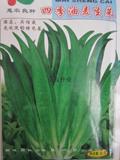 油麦菜