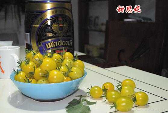 供应甜思妮—番茄种子 