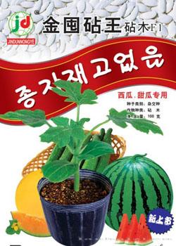 砧木种子--金囤砧王