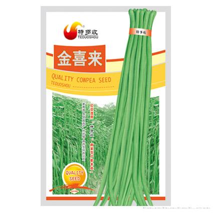 长豇五号