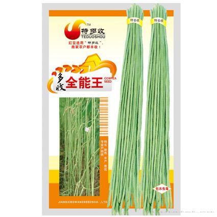 全能王