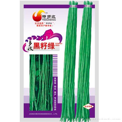 黑籽绿