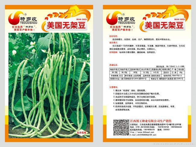 多收-美国无架豆