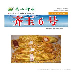 齐玉6号