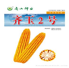 齐玉2号