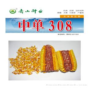 中单308