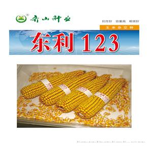 东丽123