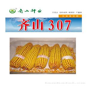 齐山307