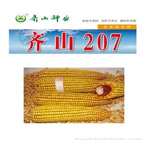 齐山207