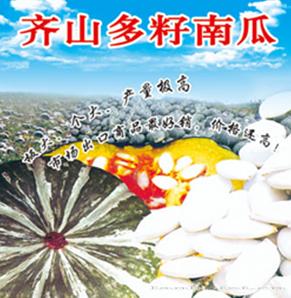 齐山多籽南瓜