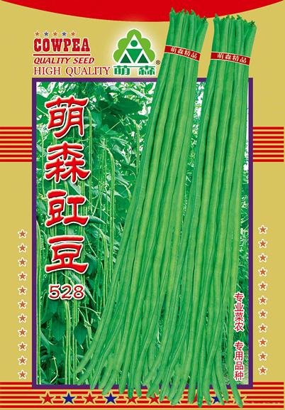 萌森豇豆528